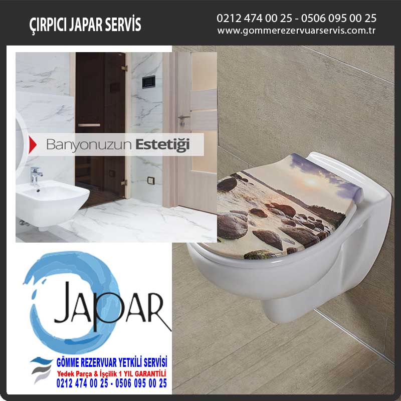 çırpıcı japar servis